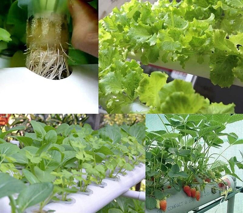 hydroponic-garden-home