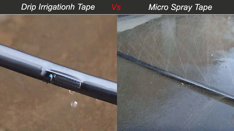 Drip tape Vs Sprinkler hose